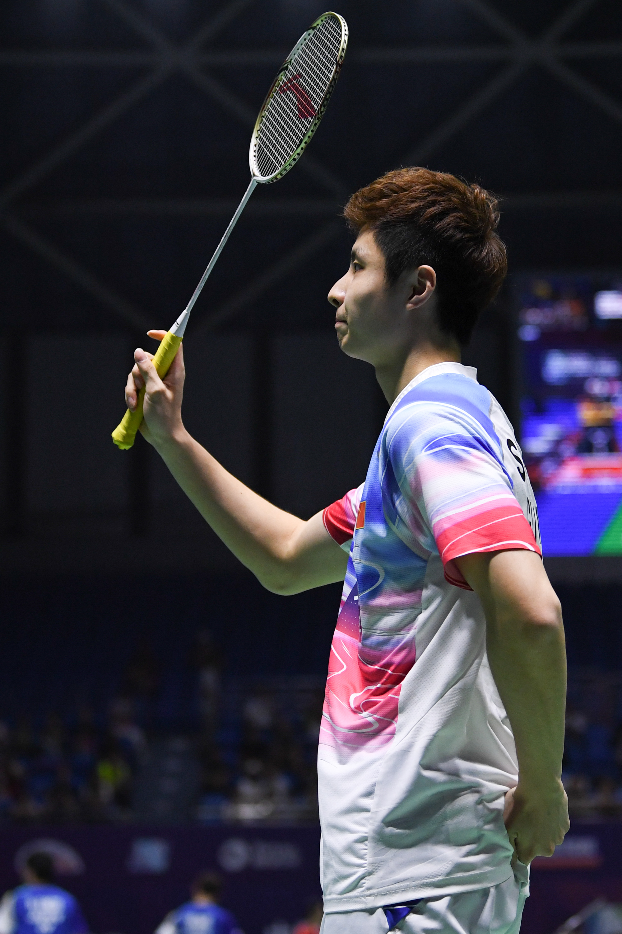 布莱顿的隐 布莱顿的隐